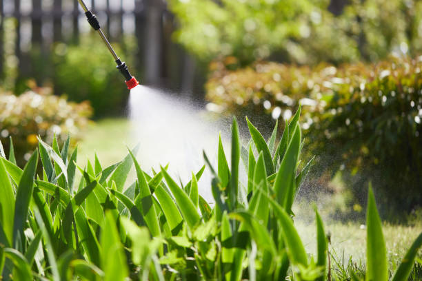 24/7 Emergency Mosquito Control experts in Twin Lakes, WI