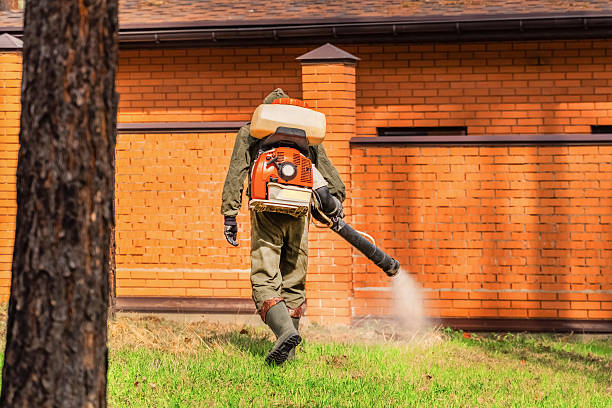 Top rated local Mosquito Control specialists in Twin Lakes, WI